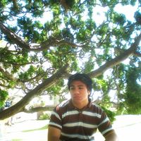 use this sound if u LOVE steve