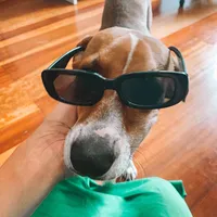 original sound - pacoserelepe