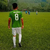 elianvillca8