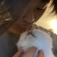 original sound - prodszcs3hh