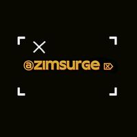 zimsurge