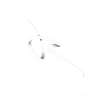 original sound - rennecv