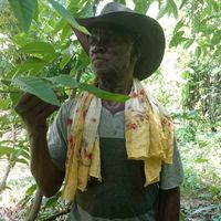 anpere.sedye