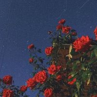 __.cytaty.___