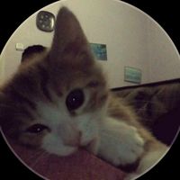 paerty6