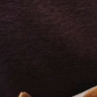 nadie.sale.sin.novio