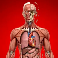 original sound - healthyfacts23