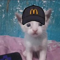 maria_gachalife3