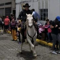 telmo.tvph.88