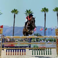 showjumping_ml