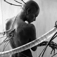 оригинальный звук - christian_rival