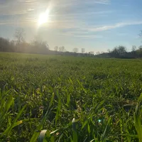 original sound - maco2113