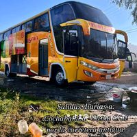 trans.pojo.of.mairana