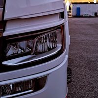 trucker_galic