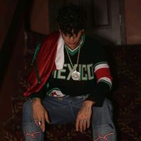 aleman_fp