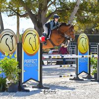 steeplechasesillies._