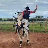 tamaroshow