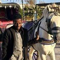 الصوت الأصلي