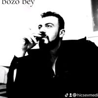 orijinal ses