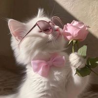 queen.eman.1