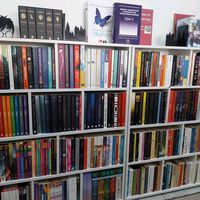 crazyfor_books2