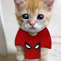 snybersitoxdxd