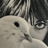 original sound - kickdoekari