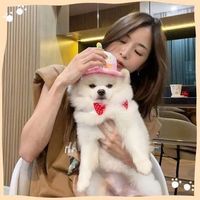 เสียงต้นฉบับ - panisic88