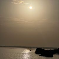 officialblackcatbrother