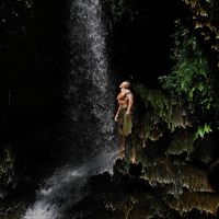 iamthejungle