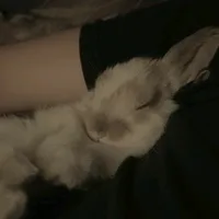 original sound - estoy...bien..._