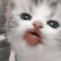 suara asli - dly__02