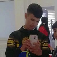 sanelramic3