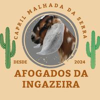 capril.malhada.da.serra