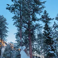 original sound - isabeljurado14