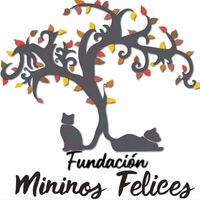 mininos_felices