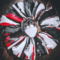 snkrlove23