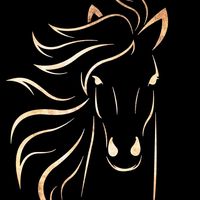 _status.vaquejada.ofc