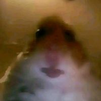 lil.houdfy