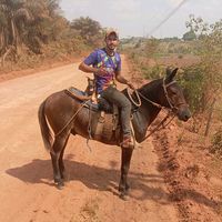 ildo19silva
