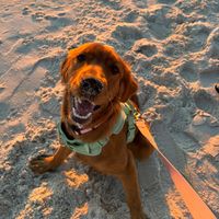 beachbumoakley