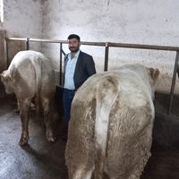 erol.karadag36