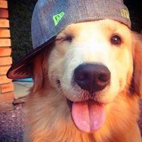 original sound - Meow