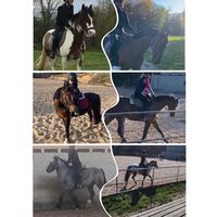mrs_equestrian