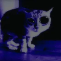 You got me jumping like