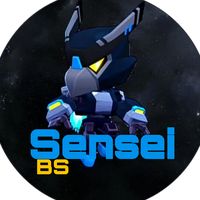 senseibs31