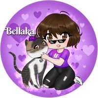 bellaka.ff_