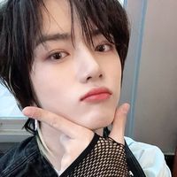 txt fanchant