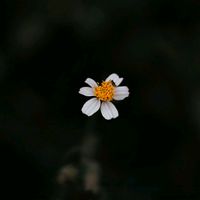 เสียงต้นฉบับ - Jewin39