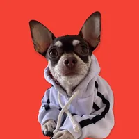 Sin dinero pero en la playa